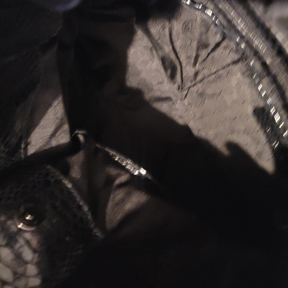 MK Hamilton Jewel Python Tote💕 - Picture 9 of 9